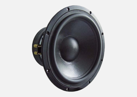 12" Visaton TIW 300